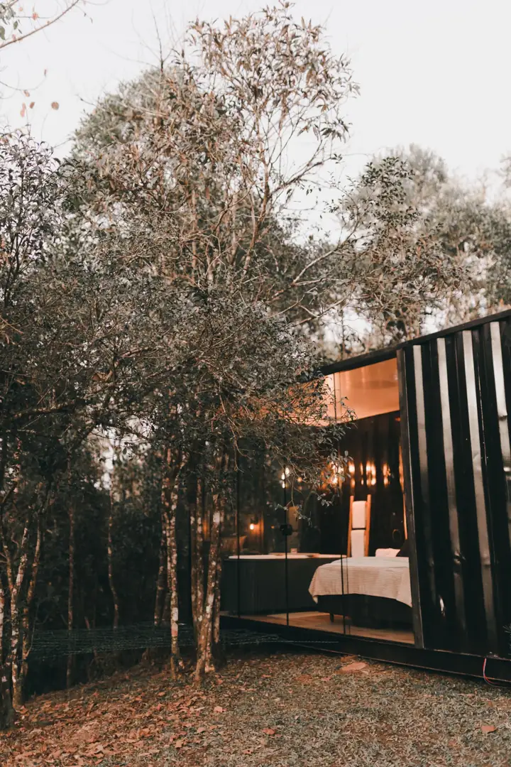A small modern cabin with large glass windows among trees